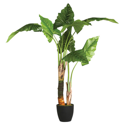 Potted plant Jovan pakoworld 125x100x124cm