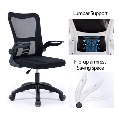 Student office furniture package Apitude set 2pcs
