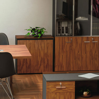 Professional low cabinet Oscar in walnut-anthracite color 80x40x80cm