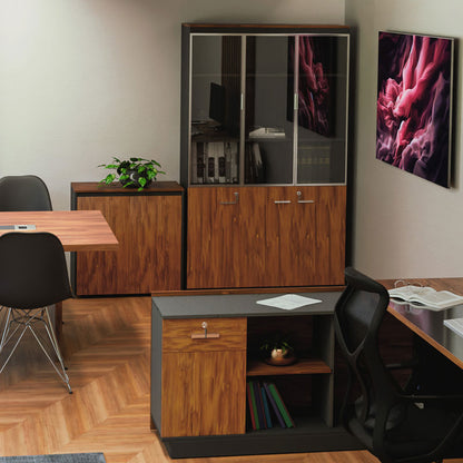 Professional bookcase Oscar with doors by glass walnut-anhracite color 120x40x200cm