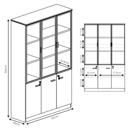 Professional bookcase Oscar with doors by glass walnut-anhracite color 120x40x200cm