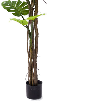 Decorative potted plant Monstera III Inart green pp H180cm