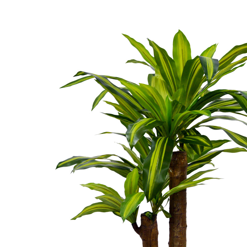 Decorative plant Dracaena in a pot Inart green pp H110cm