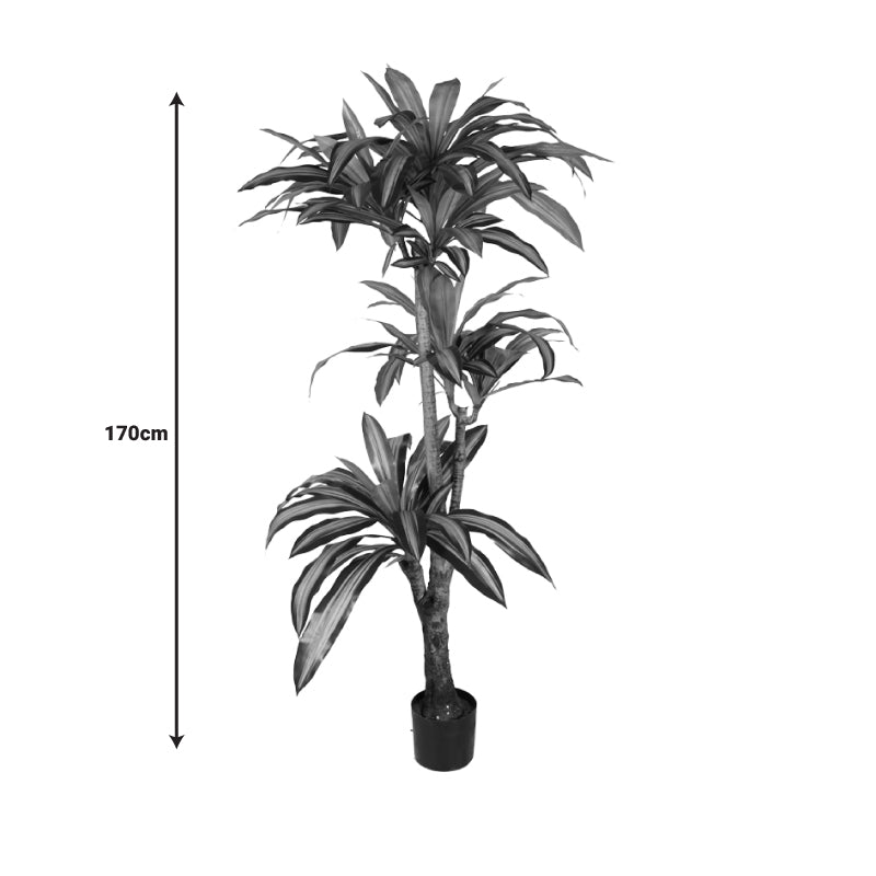 Decorative plant Dracaena I in a pot Inart green pp H170cm