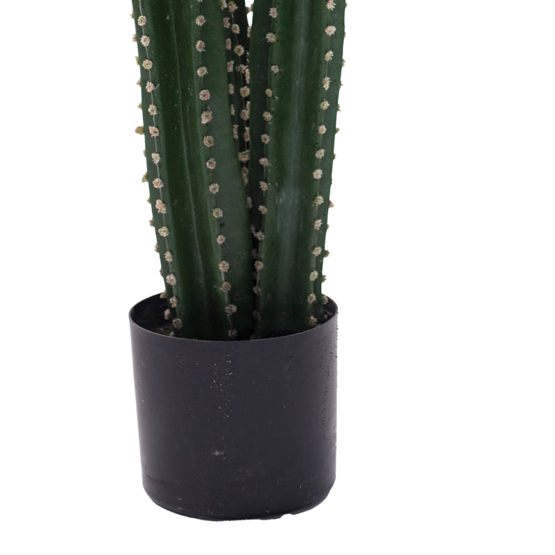 Decorative plant Cactus III in a pot Inart green pp H85cm