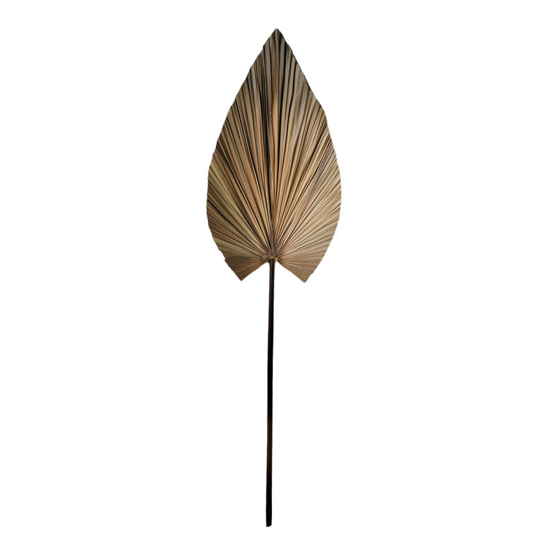 Deco flower Leafen natural palm leaf 134cm
