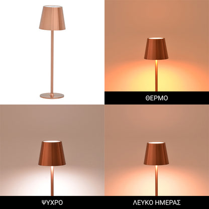 Brave Ι pakoworld LED touch table lamp rechargeable in bronze color D11.5x37cm
