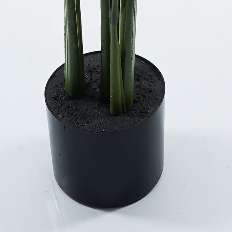 Ornamental plant in pot Calathea Inart green D68x120cm