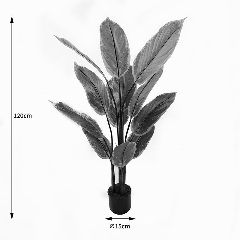 Ornamental plant in pot Calathea Inart green D68x120cm