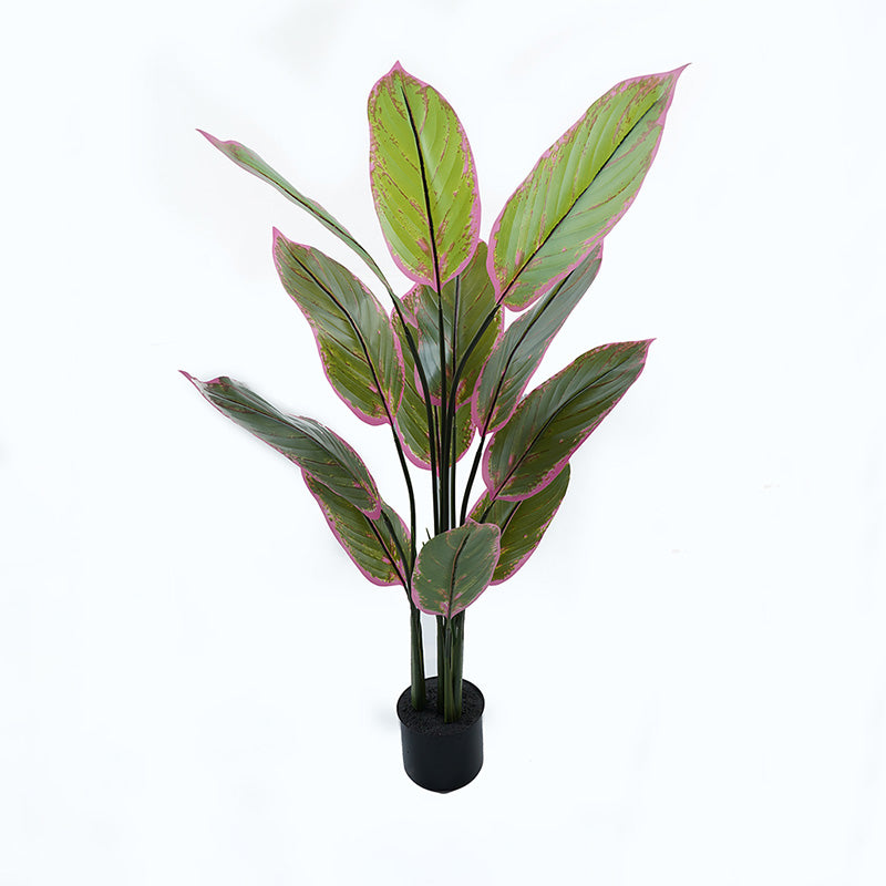 Ornamental plant in pot Calathea Inart green D68x120cm