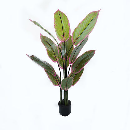 Ornamental plant in pot Calathea Inart green D68x120cm