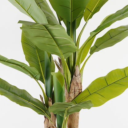 Decorative plant in a pot Banana Tree Inart green D53x190cm