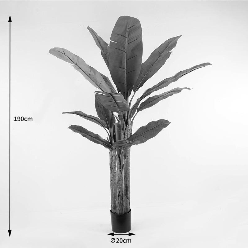 Decorative plant in a pot Banana Tree Inart green D53x190cm