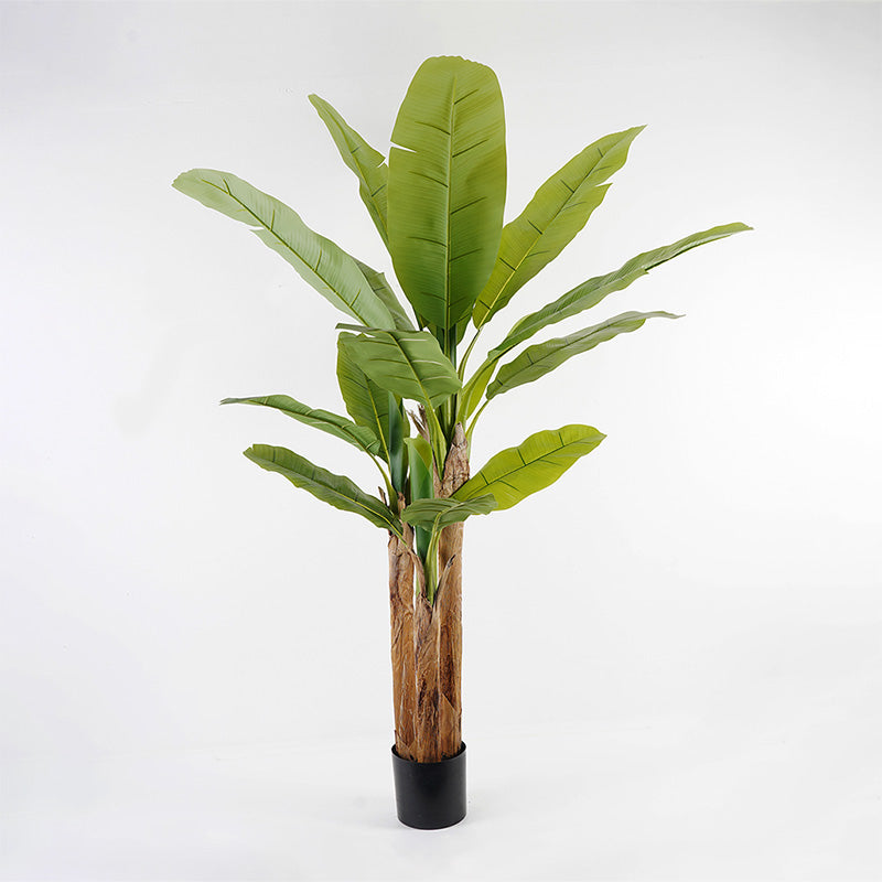 Decorative plant in a pot Banana Tree Inart green D53x190cm