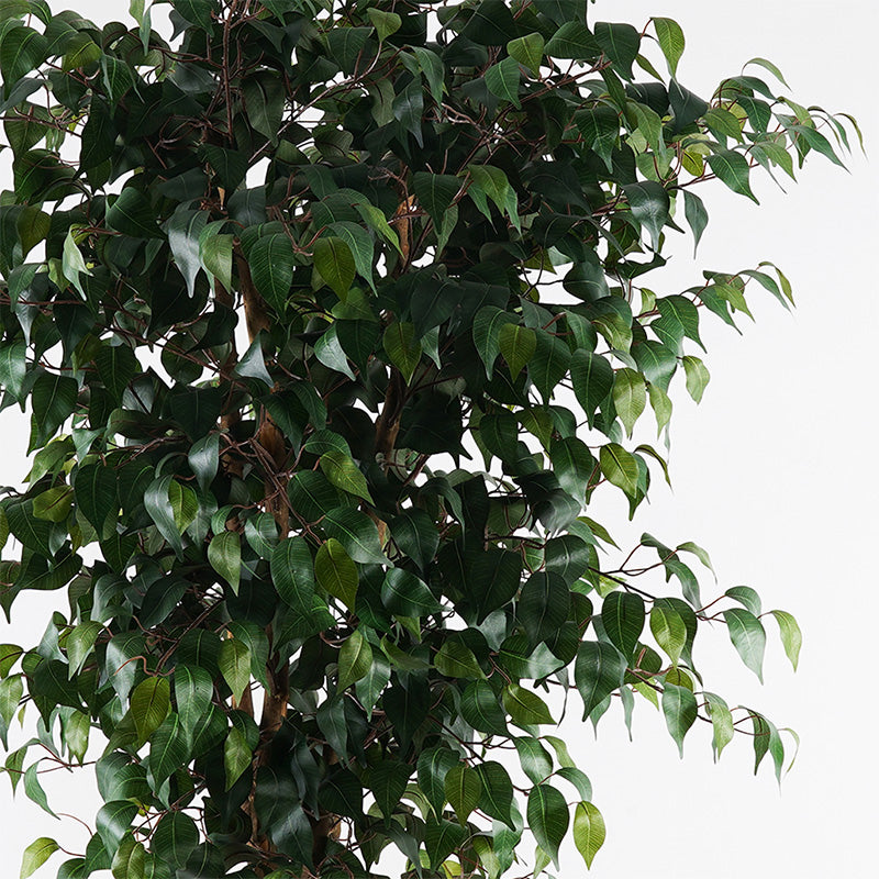 Decorative plant in pot Banyan Inart green D95x180cm