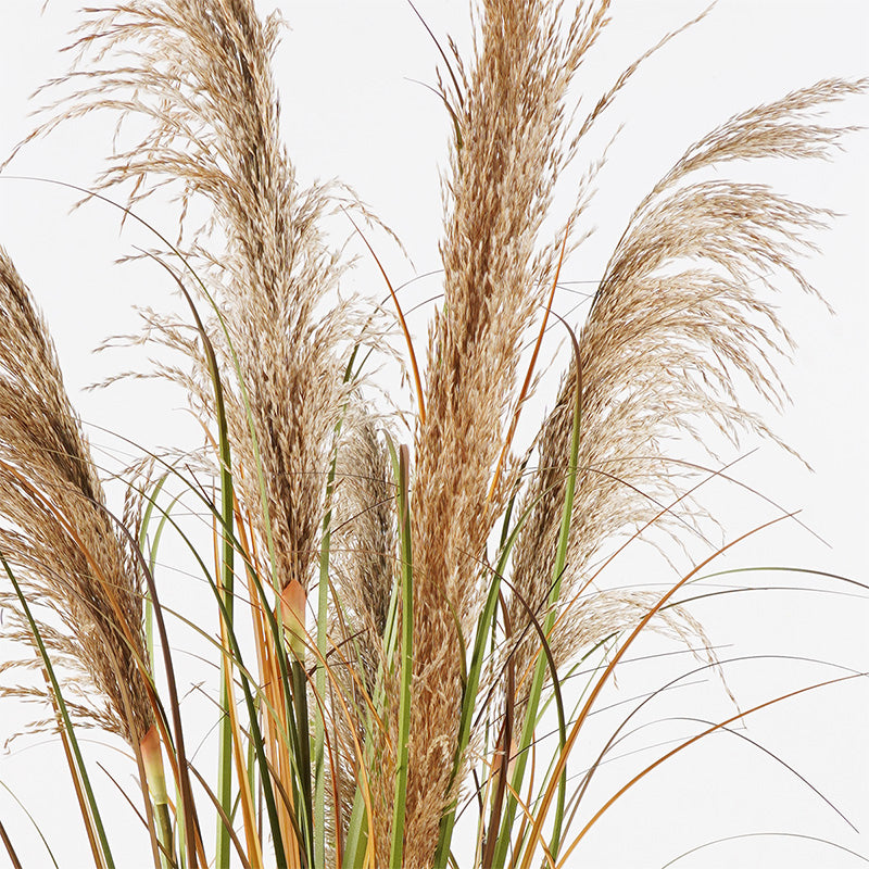 Decorative plant in a pot Bulrush Inart D65x120cm