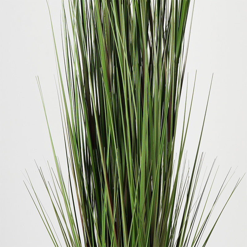 Decorative plant in a pot Boxwood Inart green D46x150cm