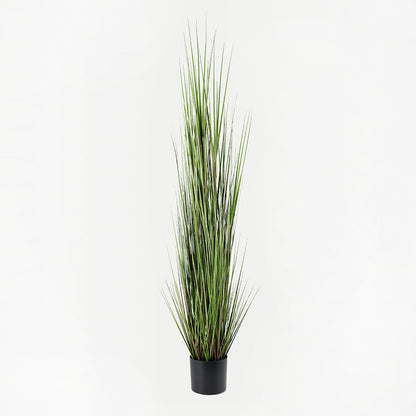 Decorative plant in a pot Boxwood Inart green D46x150cm