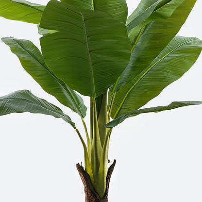 Decorative plant in a pot Musa Inart green D105x180cm