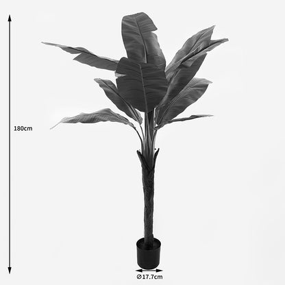 Decorative plant in a pot Musa Inart green D105x180cm
