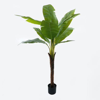 Decorative plant in a pot Musa Inart green D105x180cm